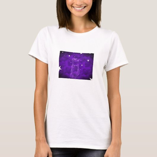 星を眺める猫のTシャツ Tシャツ (正面)