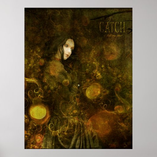 星を落とす ポスター (正面)