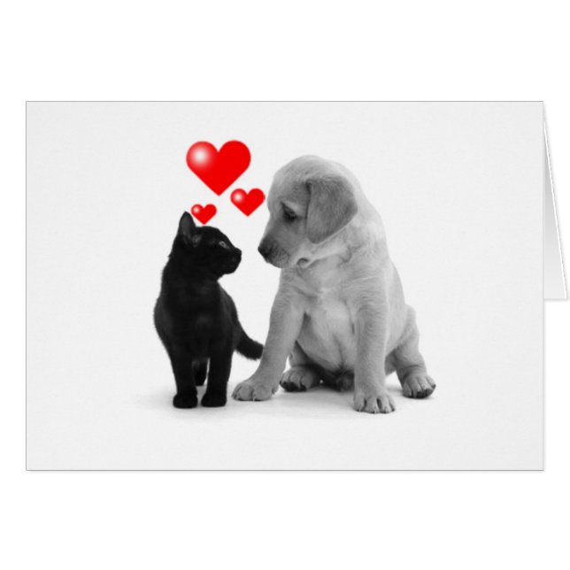 星を見る人がある – 君のせいでハートを見る (正面横)