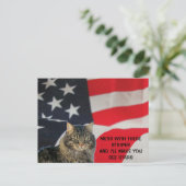 星を見る ポストカード (スタンド正面)