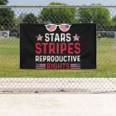 星ストライプ生殖の権利 横断幕 (インサイチュ)