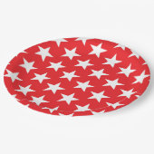 星パターン12 ペーパープレート (アングル)