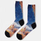 星団ピスマス24 ソックス (左)