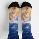 星団ピスマス24 ソックス (上部)