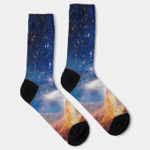 星団ピスマス24 ソックス (右)