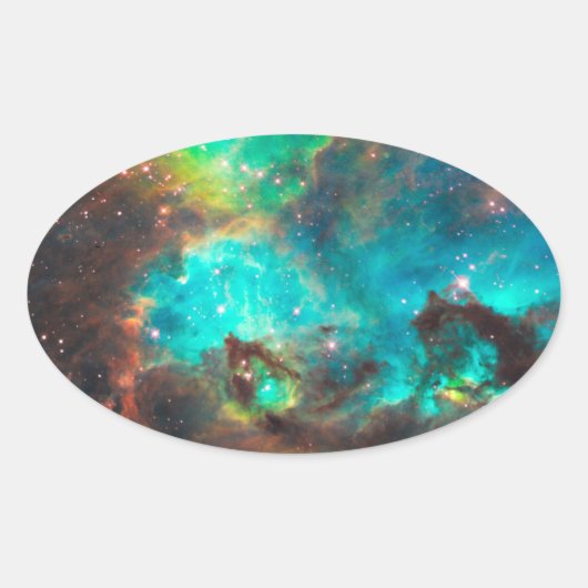 星団NGC 2074 楕円形シール (正面)