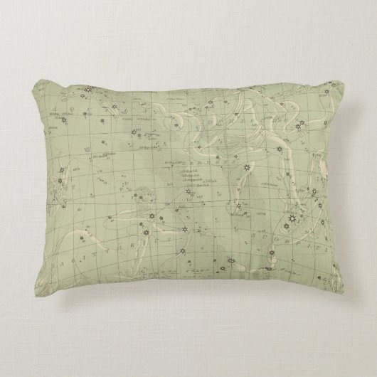 星図2 アクセントクッション (正面)