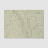 星図2 薄葉紙 (正面)