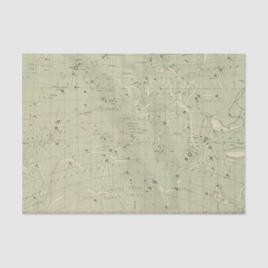 星図2 薄葉紙 (正面)