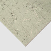 星図2 薄葉紙 (詳細)