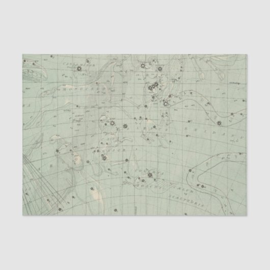 星図2 薄葉紙 (正面)