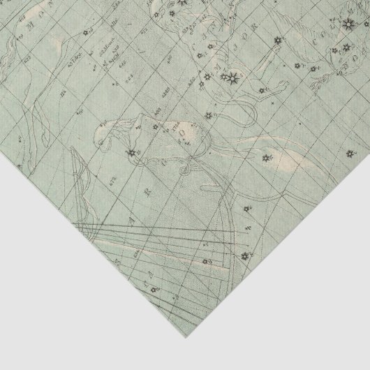 星図2 薄葉紙 (詳細)