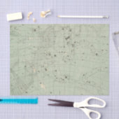 星図2 薄葉紙 (クラフト)