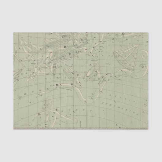 星図 薄葉紙 (正面)