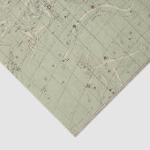 星図 薄葉紙 (詳細)