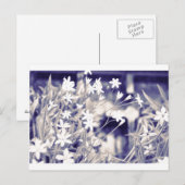 星型の花はがき ポストカード (正面/裏面)