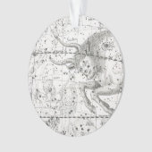 星座のプレートXIVの地図 オーナメント (正面)