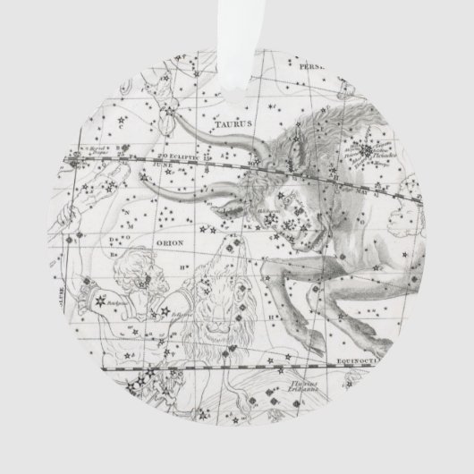 星座のプレートXIVの地図 オーナメント (正面)