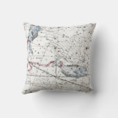 星座のプレートXXIIの地図 クッション (裏面)