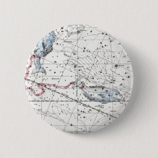 星座のプレートXXIIの地図 缶バッジ (正面)