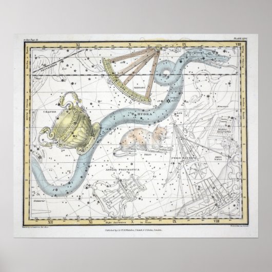 星座の地図プレートATVI ポスター (正面)