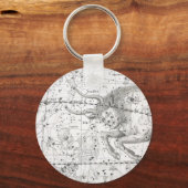 星座の地図プレートXIV キーホルダー (正面)