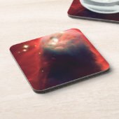 星座ドラコ コースター (左側)