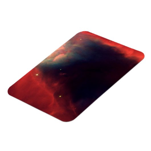 星座ドラコ マグネット (左側)