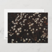 「星座ボスク」 ポストカード (正面/裏面)