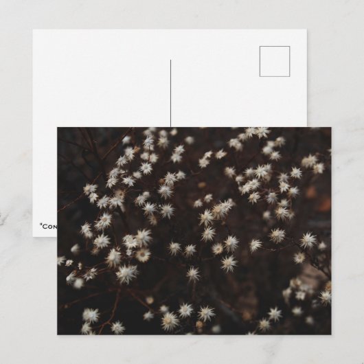 「星座ボスク」 ポストカード (正面/裏面)