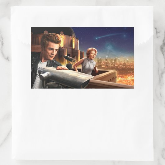 星座人 長方形シール (バッグ)