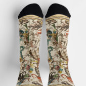 星座天空〔占星術の〕十二宮図星図 ソックス (上部)