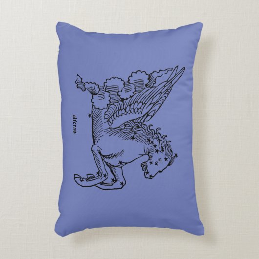 星座: ペガソス アクセントクッション (正面(垂直))