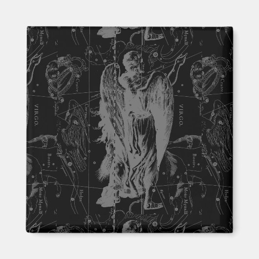 《星座》乙女座徴候コンステレーションヘベリアスブラックデコール マグネット (正面)