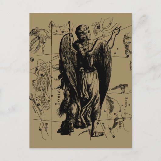 《星座》乙女座星座ヘベリアスのエッチングスタイル ポストカード (正面)