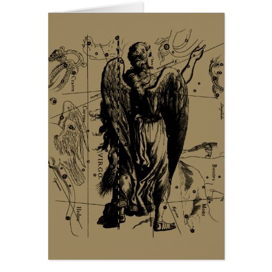 《星座》乙女座星座ヘベリウスエッチングスタイル (正面)