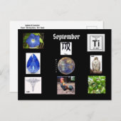 《星座》乙女座9月誕生月はがき ポストカード (正面/裏面)