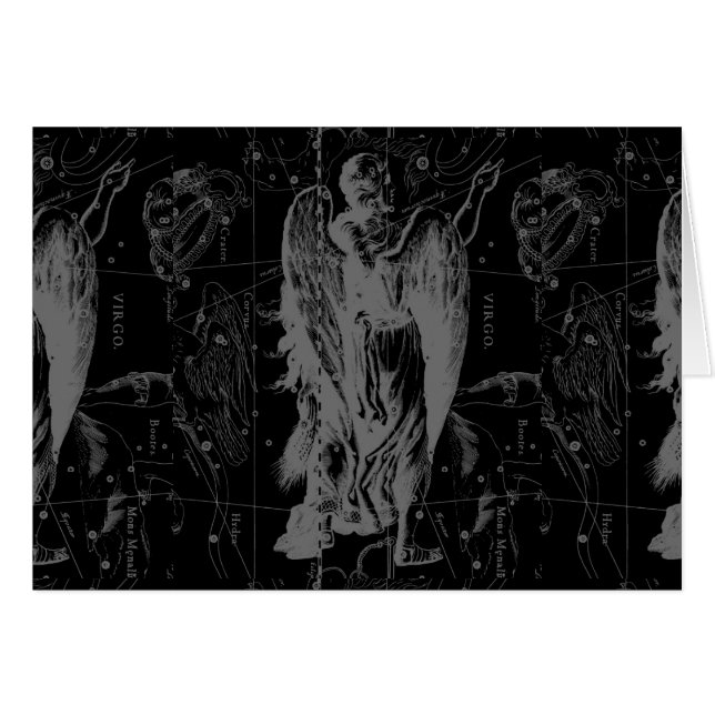 《星座》乙女座〔占星術の〕十二宮図コンステレーションヘベリアス1690 (正面横)