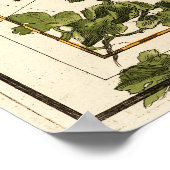 《星座》乙女座、hydra、クレーター、ブーテ、レオ、ケンタウロス ポスター (角)