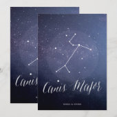 星座 星空 天体 テーブル カード (正面/裏面)