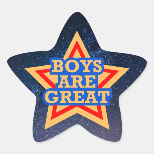 星形のステッカー 星シール (正面)