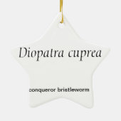 星形の多毛虫みみずのクリスマスのオーナメント セラミックオーナメント (裏面)