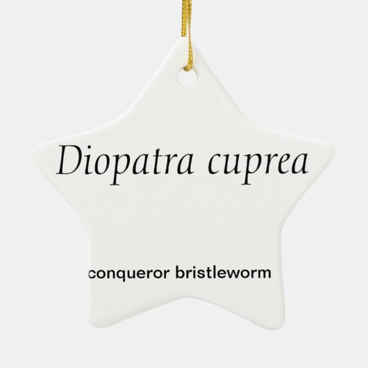 星形の多毛虫みみずのクリスマスのオーナメント セラミックオーナメント (裏面)