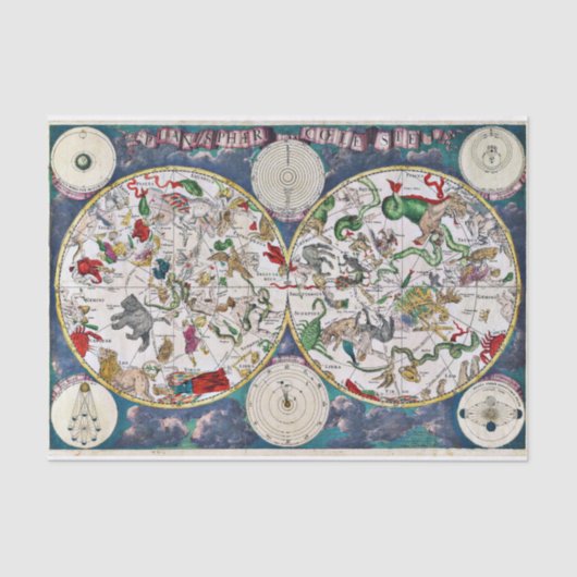 星形グラフ 薄葉紙 (正面)