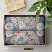 星形グラフ 薄葉紙 (ギフト)