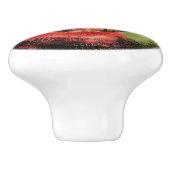 星形五角形エレメンタルトリスケリオンムーンオーナメント セラミックノブ (側面)