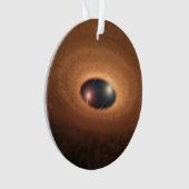 星形成から残ったほこりっぽい材料の円盤 オーナメント (正面)