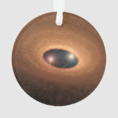 星形成から残ったほこりっぽい材料の円盤 オーナメント (裏面)