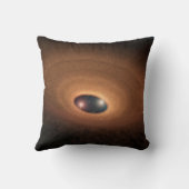 星形成から残ったほこりっぽい材料の円盤 クッション (裏面)