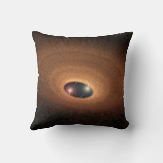 星形成から残ったほこりっぽい材料の円盤 クッション (裏面)